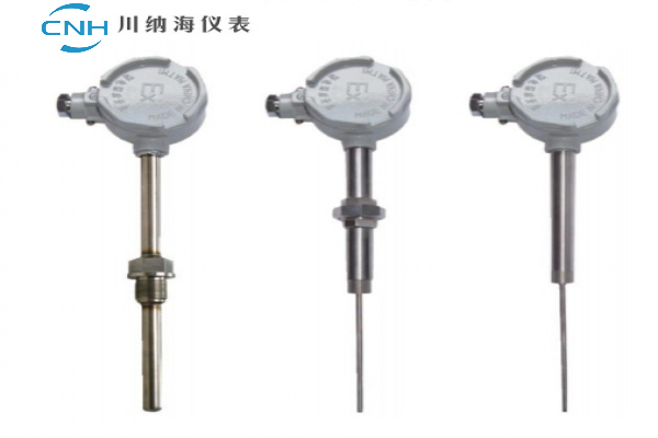 CNH-WZ防爆熱電阻